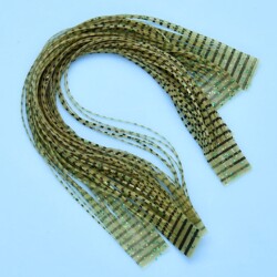 SILI LEGS NYMPH - OLIVE BARRED