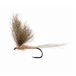 HENDRICKSON - SPLIT WING